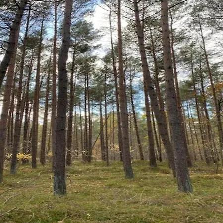Floating Houseboat In *